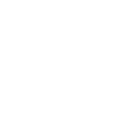internet